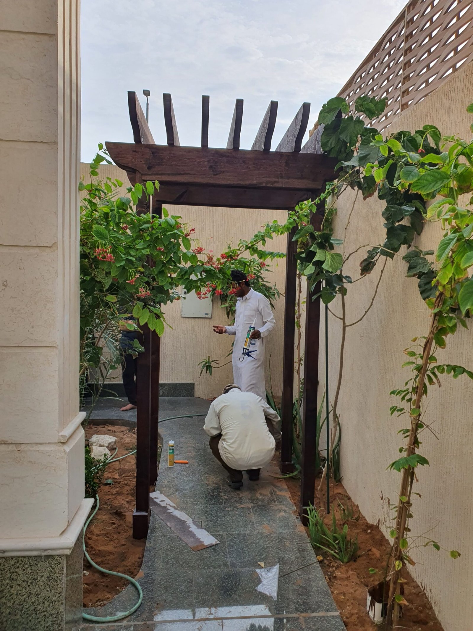 برجولات درع الظل